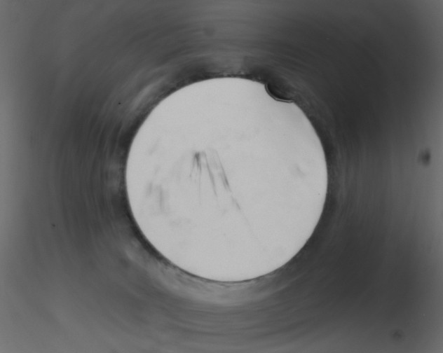 X0000115830035200912242005