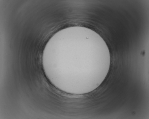 X0000115830036200912242005