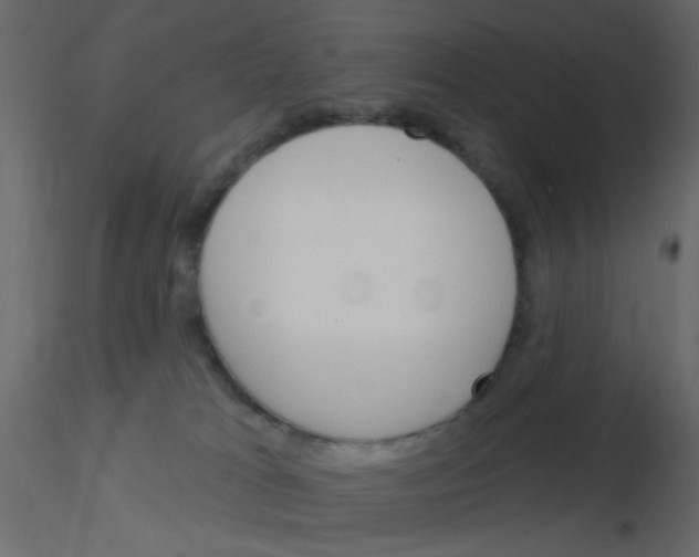 X0000115830037200912242005