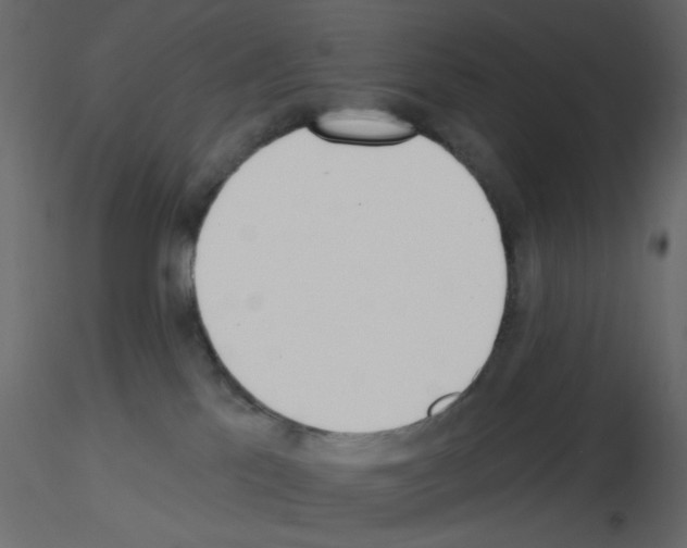 X0000115830041200912242005