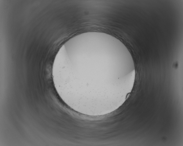 X0000115830043200912242005