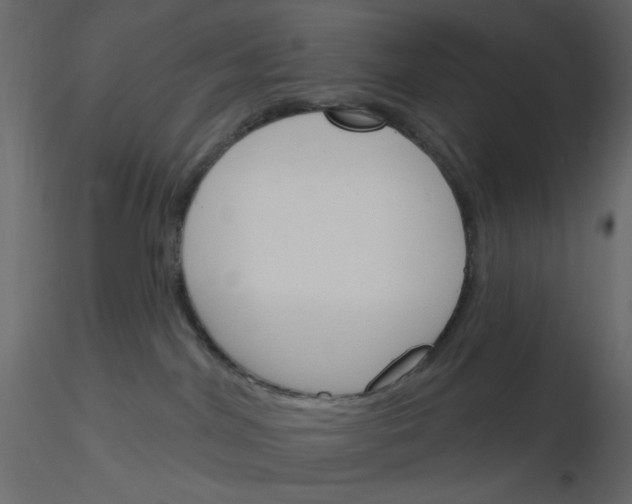 X0000115830044200912242005