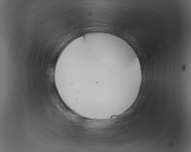 X0000115830045200912242005