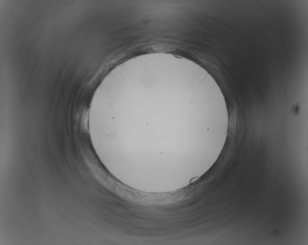 X0000115830046200912242005