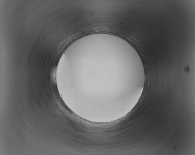 X0000115830047200912242005