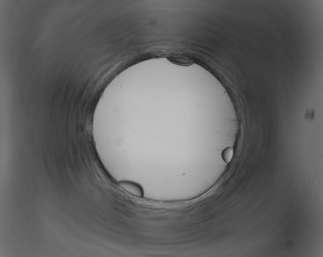 X0000115830048200912242005