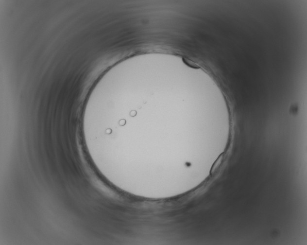 X0000115830049200912242004