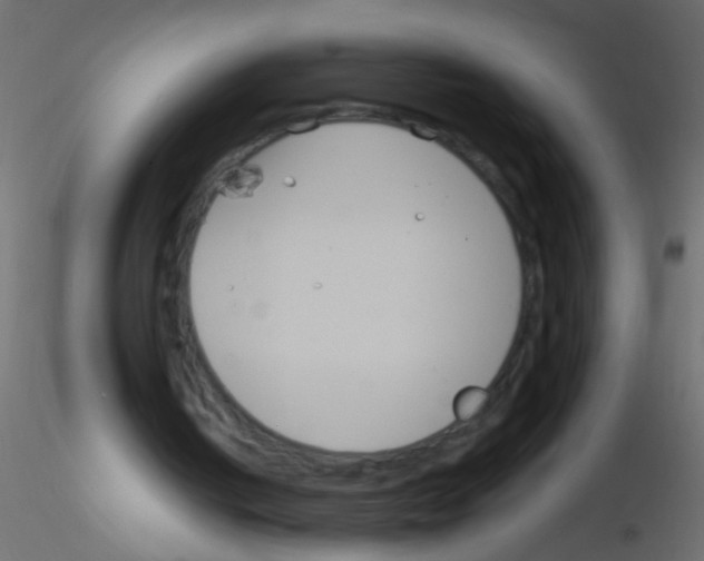 X0000115830050200912242004