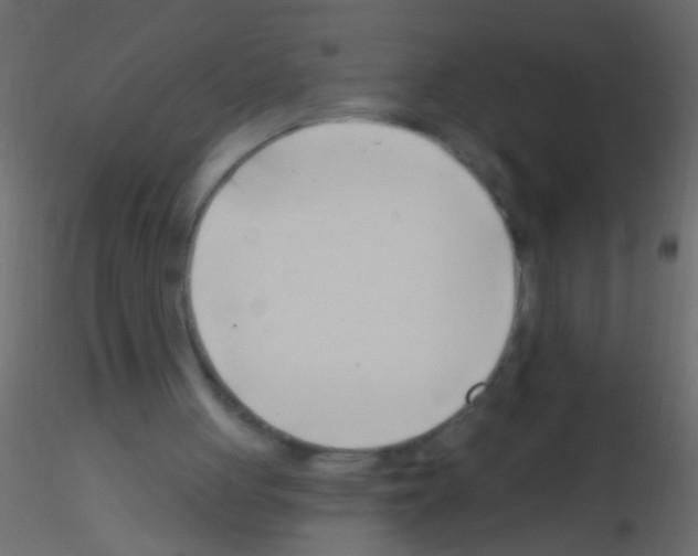 X0000115830051200912242004