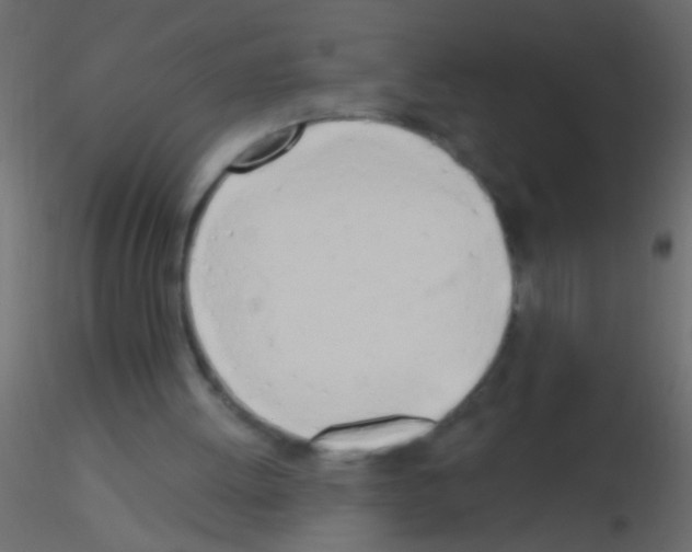 X0000115830052200912242004