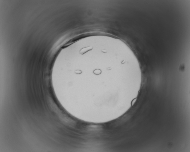 X0000115830053200912242004