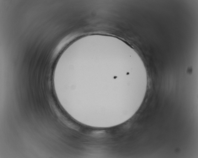 X0000115830054200912242004