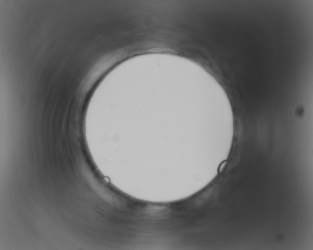 X0000115830055200912242004