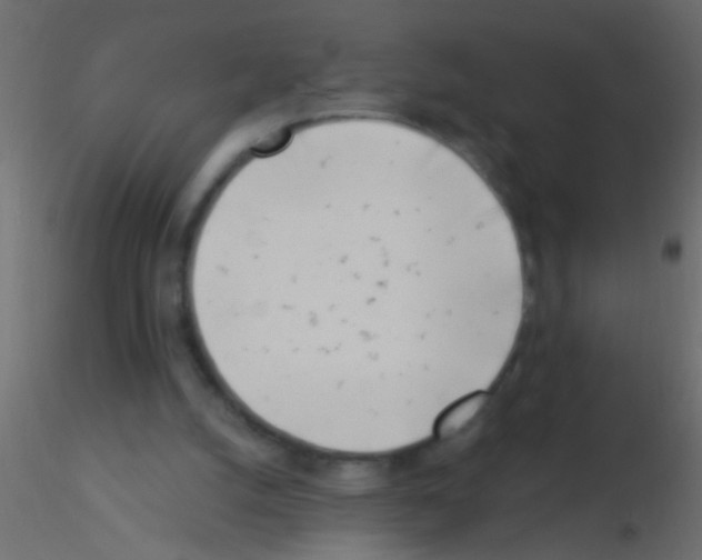 X0000115830056200912242004