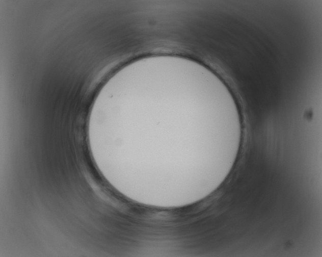 X0000115830058200912242004