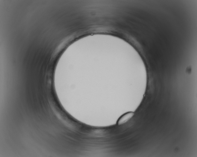 X0000115830059200912242004