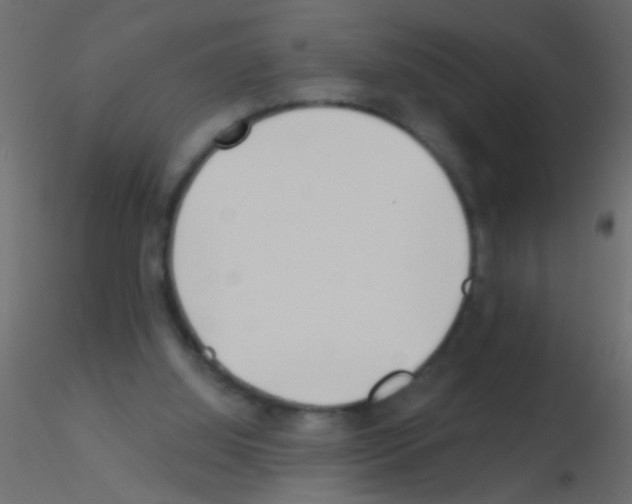 X0000115830060200912242004