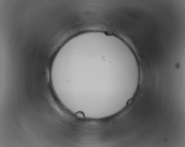 X0000115830061200912242004