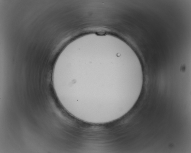 X0000115830063200912242004