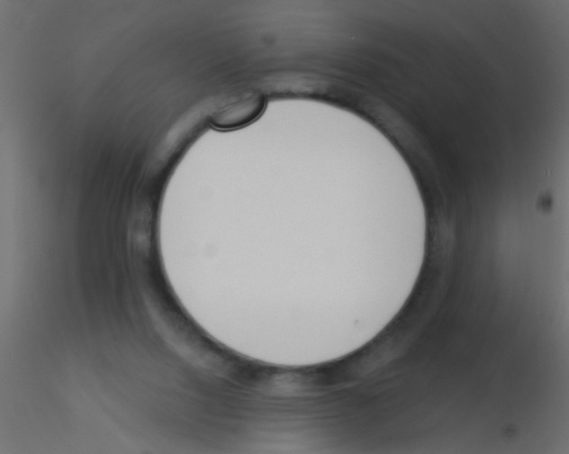 X0000115830064200912242004