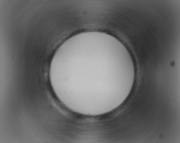 X0000115830065200912242004