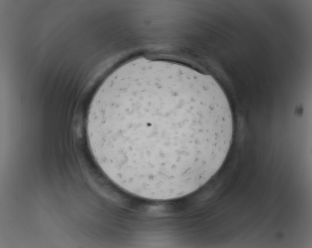 X0000115830068200912242004