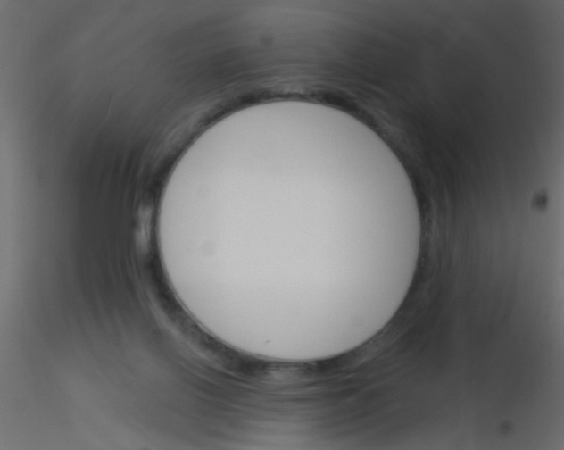 X0000115830070200912242004