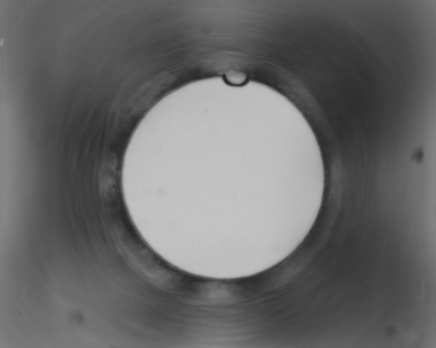 X0000115830073200912242004