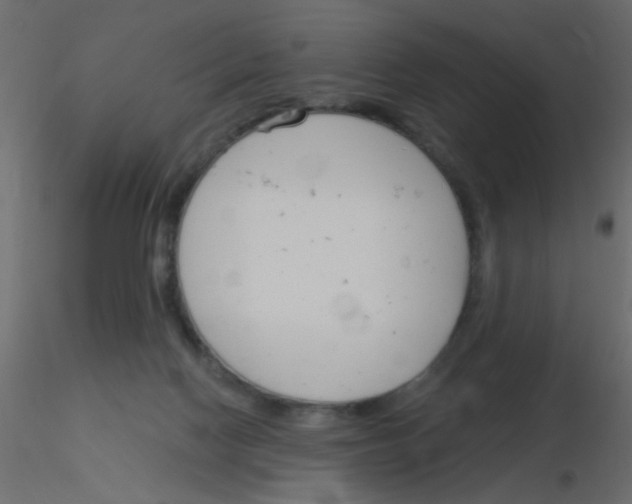 X0000115830074200912242004