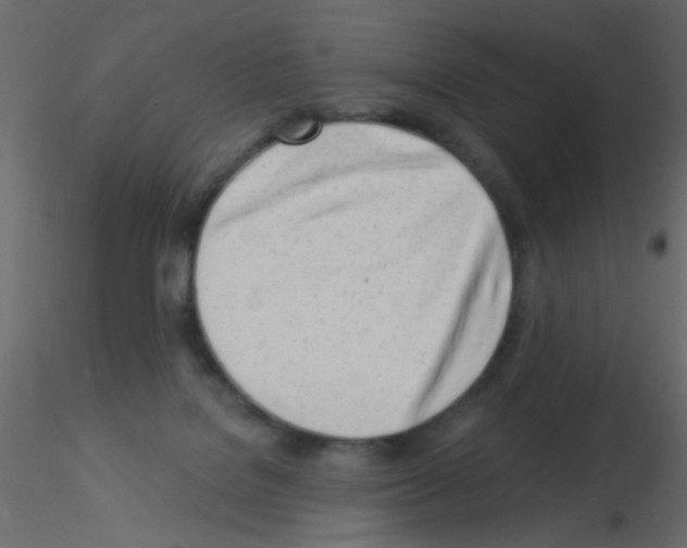 X0000115830076200912242005