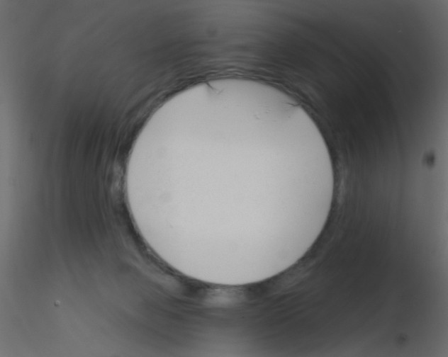 X0000115830077200912242005