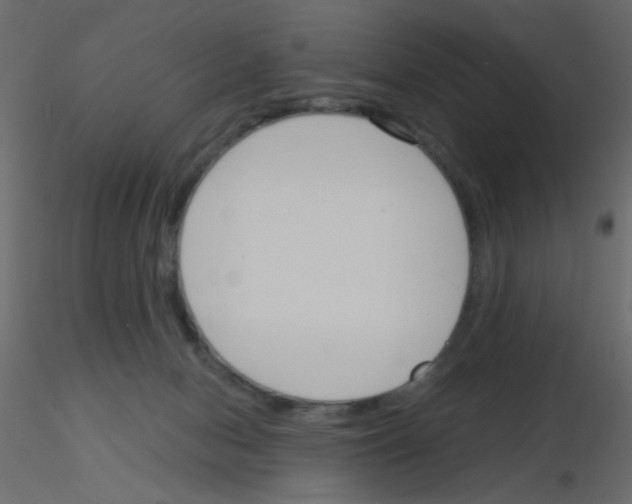 X0000115830078200912242005