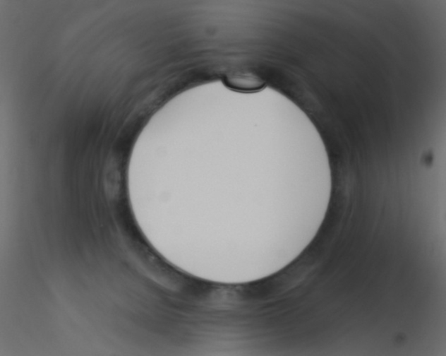 X0000115830080200912242005