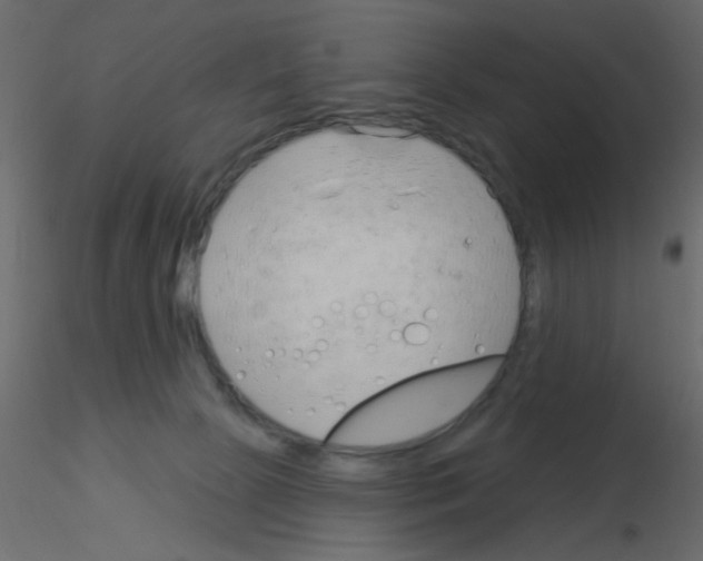 X0000115830081200912242005