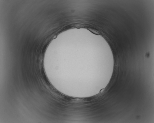 X0000115830082200912242005