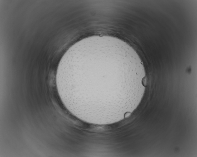 X0000115830083200912242005