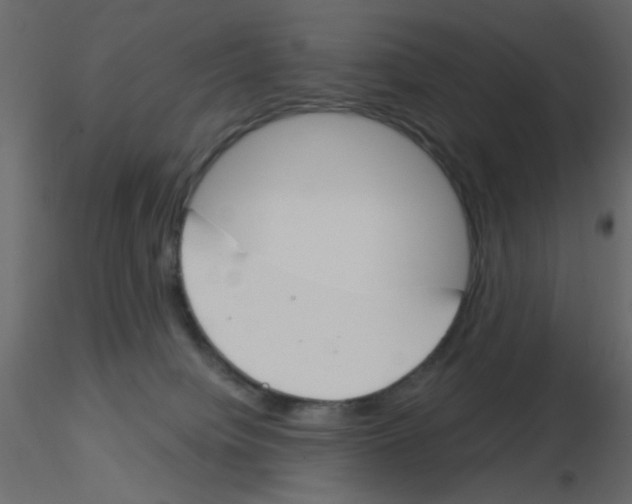 X0000115830084200912242005