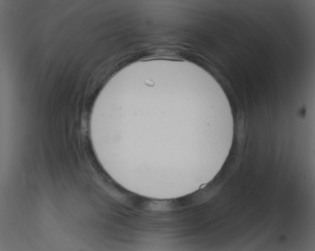 X0000115830085200912242005