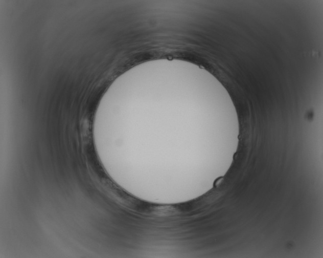 X0000115830087200912242005