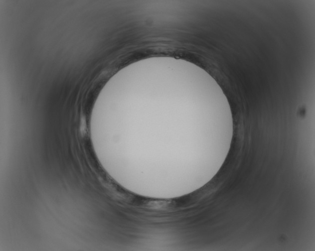 X0000115830089200912242005