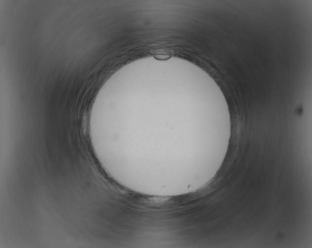 X0000115830090200912242005