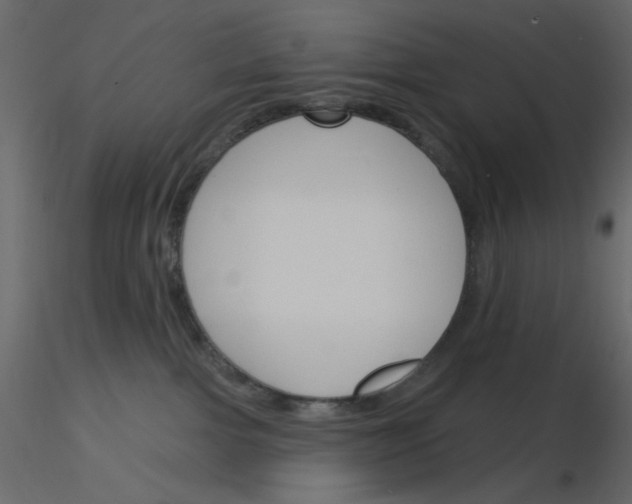 X0000115830091200912242005