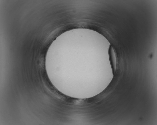 X0000115830092200912242005