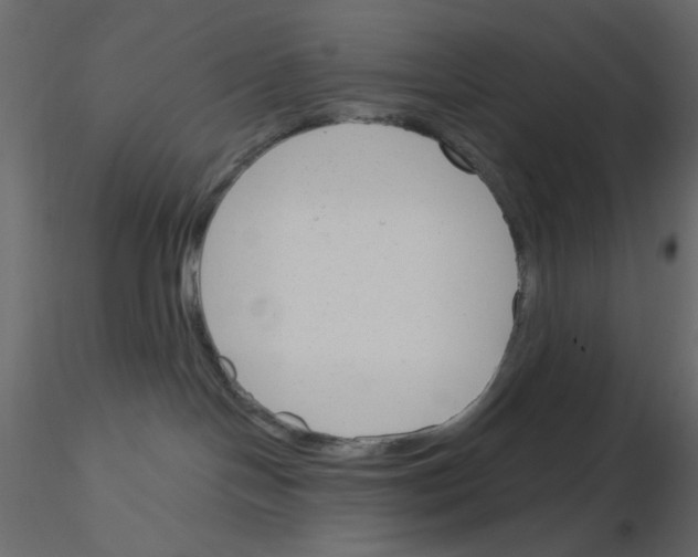 X0000115830094200912242005