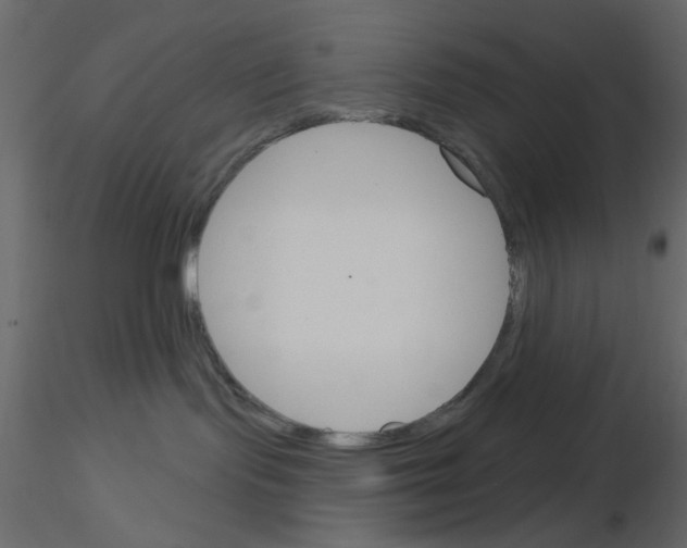 X0000115830095200912242005