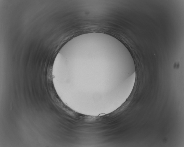 X0000115830096200912242005