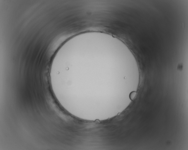 X0000115830098200912242004