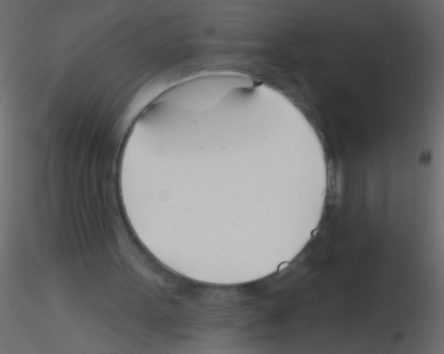 X0000115830099200912242004