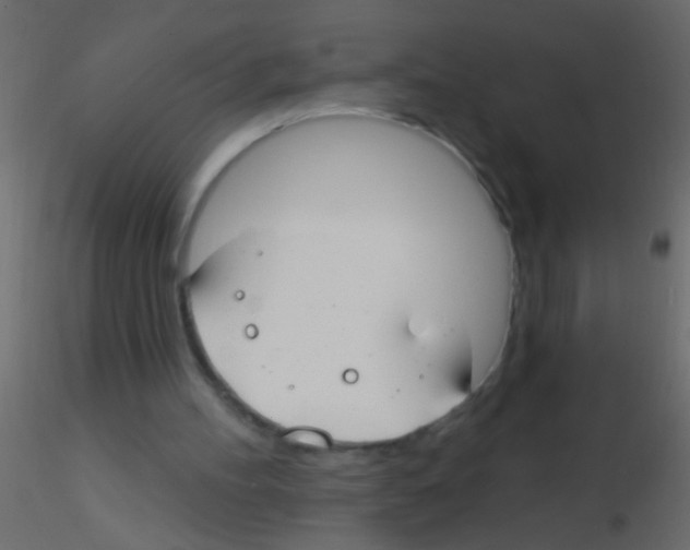 X0000115830100200912242004