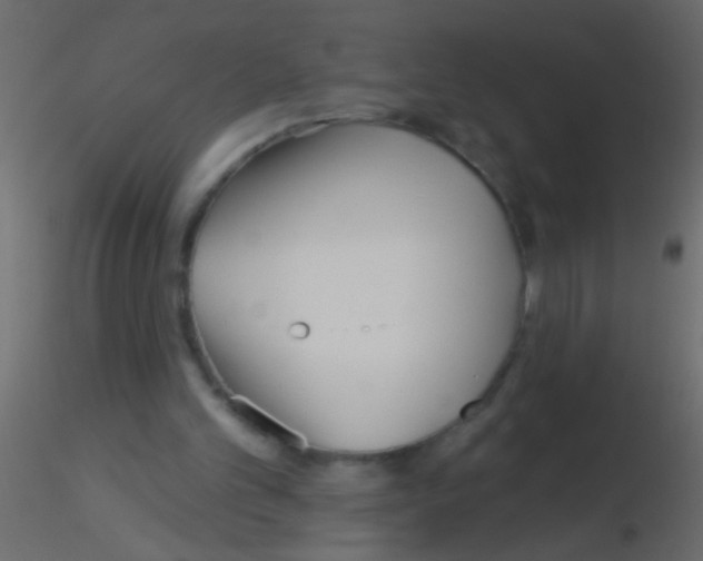 X0000115830101200912242004